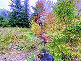 5869 burger road